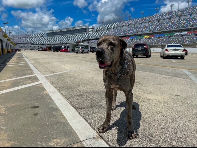 Homestead Miami Speedway